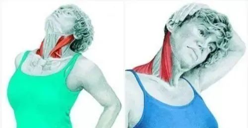 1682042778954612.jpg 微信圖片_20230421091442.jpg