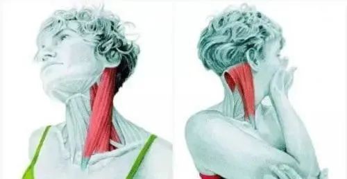 1682042790403916.jpg 微信圖片_20230421091446.jpg